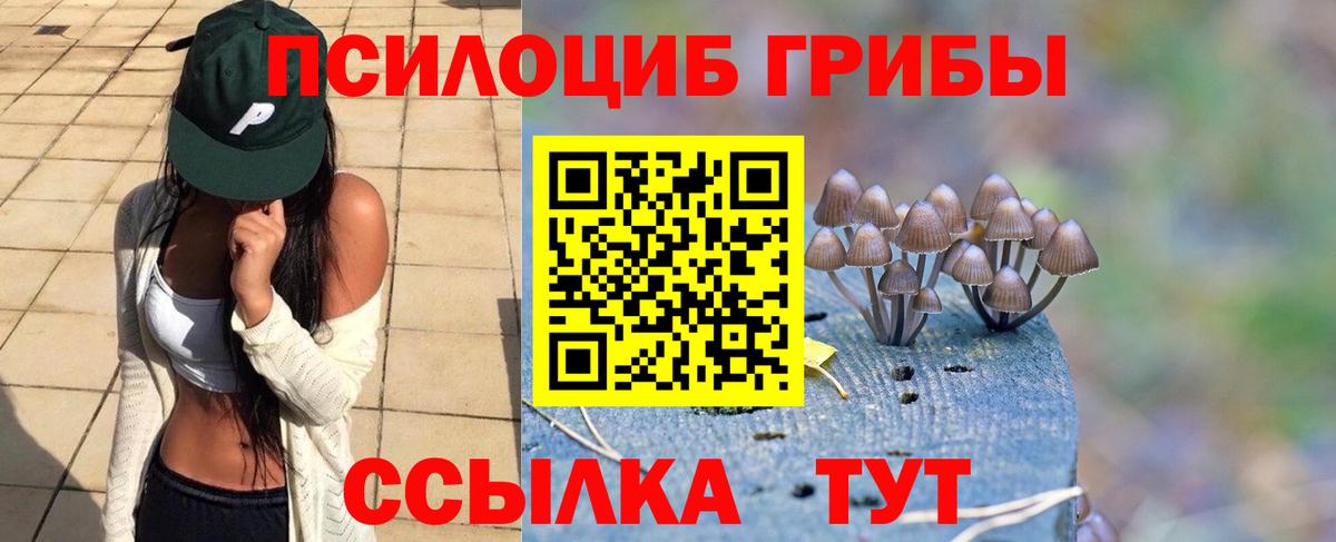 Псилоцибиновые грибы мицелий Ессентуки